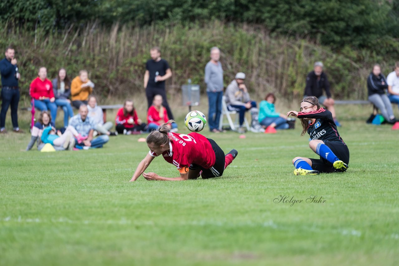 Bild 205 - Frauen SG NieBar - HSV 2 : Ergebnis: 4:3